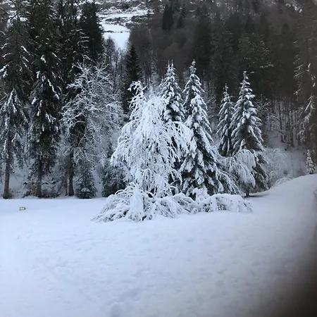 Lovely 2 Bed Apartment In Morzine With Garden Exterior photo