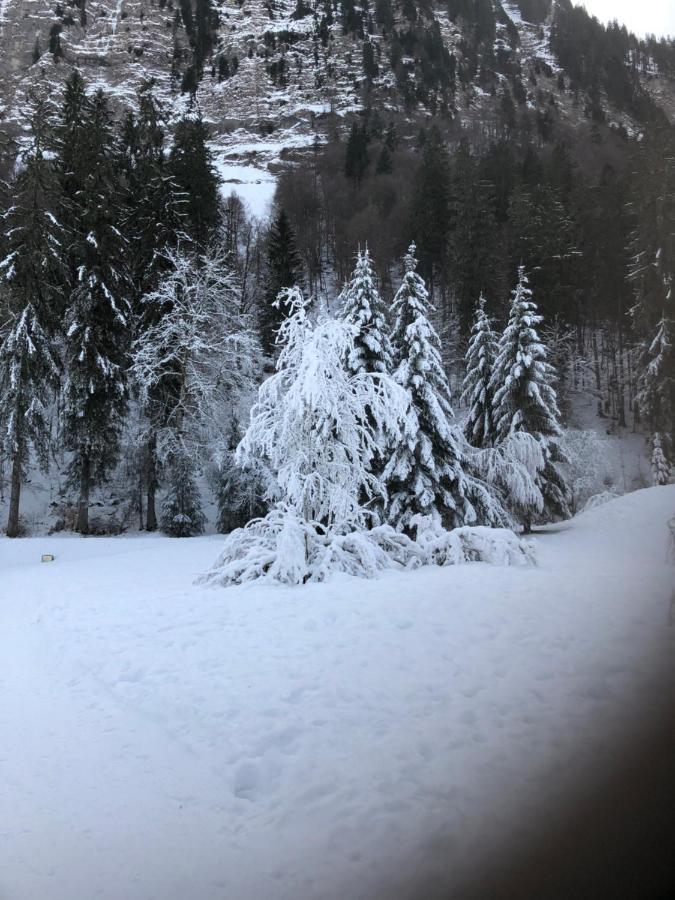 Lovely 2 Bed In With Garden Morzine